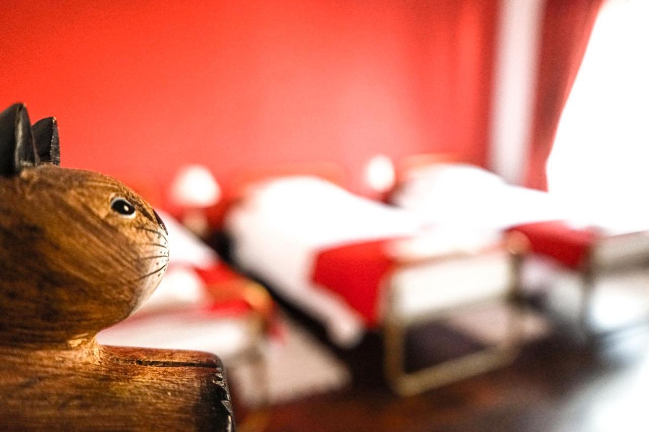 Azores Dream Hostel Πόντα Ντελγκάντα Δωμάτιο φωτογραφία