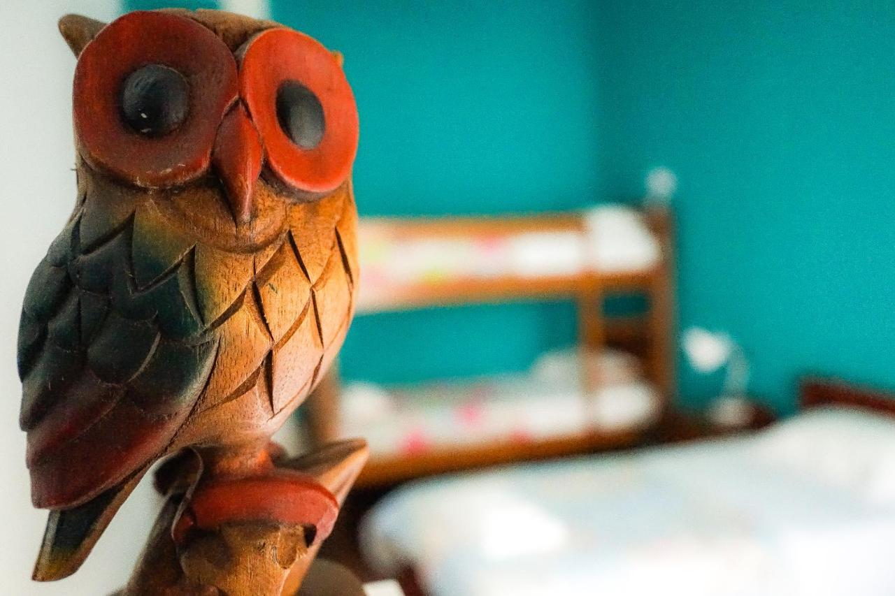 Azores Dream Hostel Πόντα Ντελγκάντα Εξωτερικό φωτογραφία